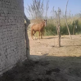 At