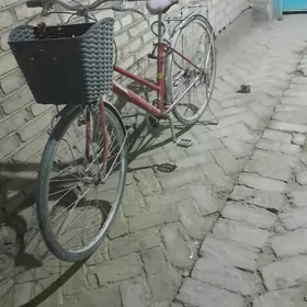 welosiped tigir