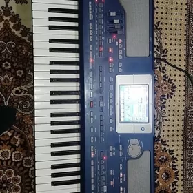 Korg Pa800