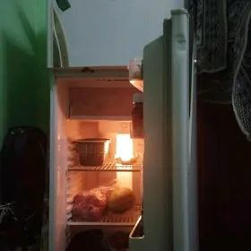 National haladilnik