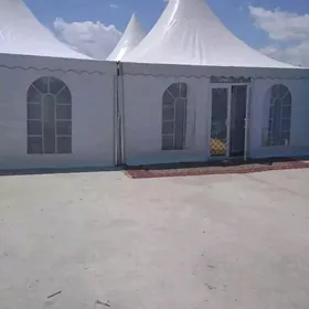 Gümmez palata