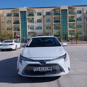 Toyota Corolla 2021