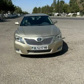 Toyota Camry 2010