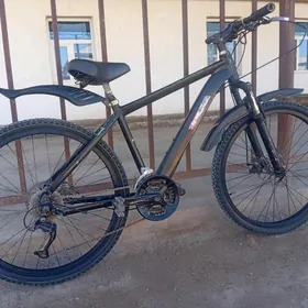 velseped
