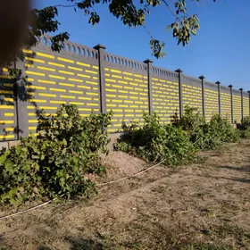 Beton Zabor (Haýat)