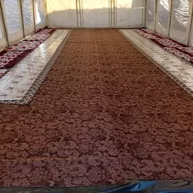 Toy sadaka palata.Gazirowka