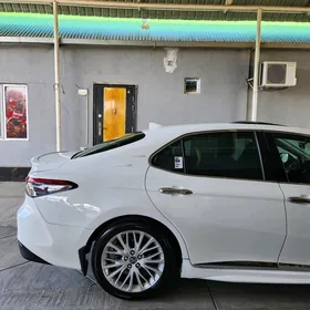 Camry 18-23 Ayna dakylyan Setka zanaweska