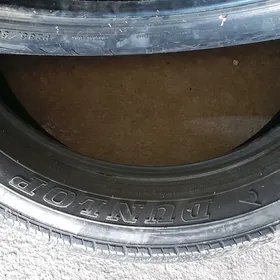 Dunlop pakryşka Zavot