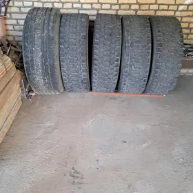 тигир Вольва