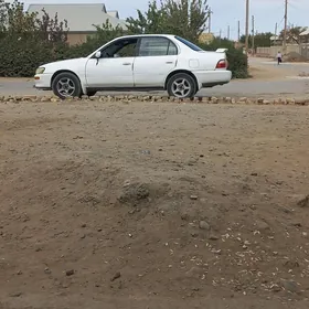 Toyota Corolla 1993