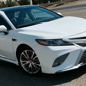 Toyota Camry 2020