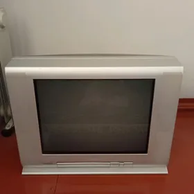 Telewizor