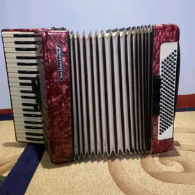 Akkardeon germanskiý
