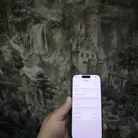 iPhone 16 pro
