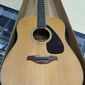 Akustik gitara