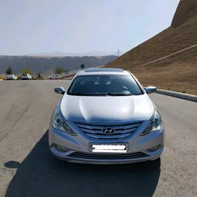 Hyundai Sonata 2010