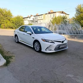 Toyota Camry 2020