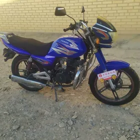 Fekon FK200-14G 2013