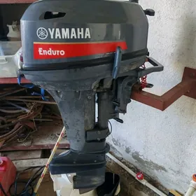 Yamaha 15 kasatka 365