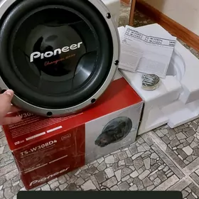 pioneer bocka