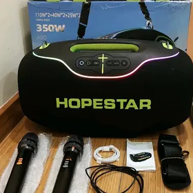 Hopestar A80 2 mikrafonly