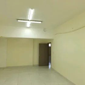 Arenda Gurtly polpodwal
