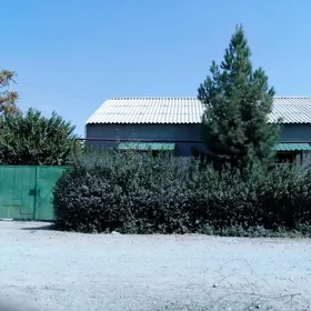 Satlyk Jaý
