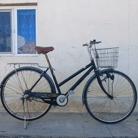 Yaposga 27