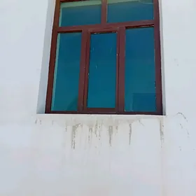 agaç aÿnalar