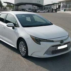 Toyota Corolla 2019