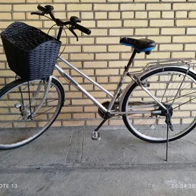 welik 27