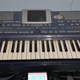 Korg pa 800