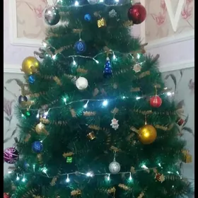 ỳolka