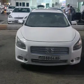 Nissan Maxima 2010