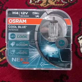 lapa osram