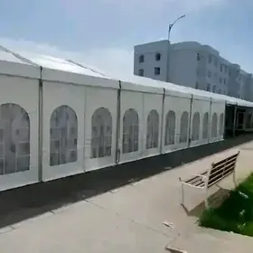 palatka палата