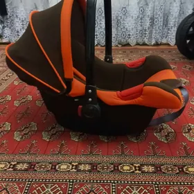 çagany maşynda oturdylýan