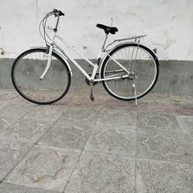 Tigir welosiped