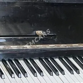 Pianina