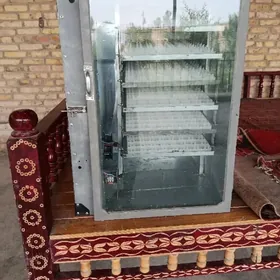 Inkubator