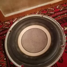 Baş bocka kalonka usilitel