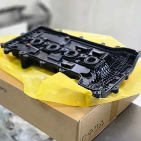 Kia/Hyundai