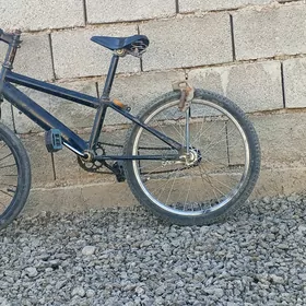 sport tigir 