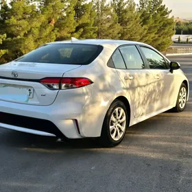 Toyota Corolla 2020