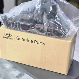 Kia/Hyundai Pauk
