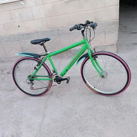 tigir Turkmenistan 26