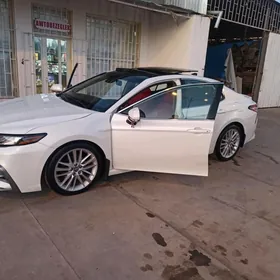 Toyota Camry 2019
