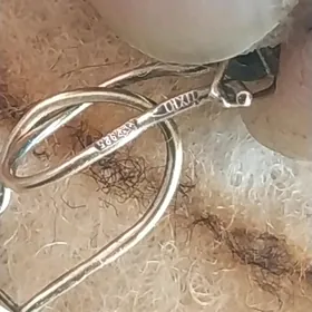 сетьги