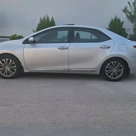 Toyota Corolla 2013