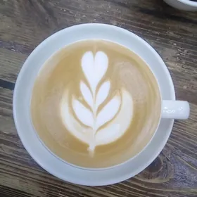 Barista-Бариста
